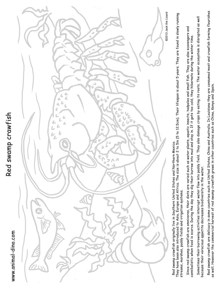 757x980 Animal Coloring Page