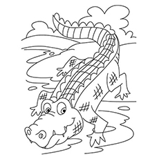 230x230 Top Free Printable Crocodile Coloring Pages Online