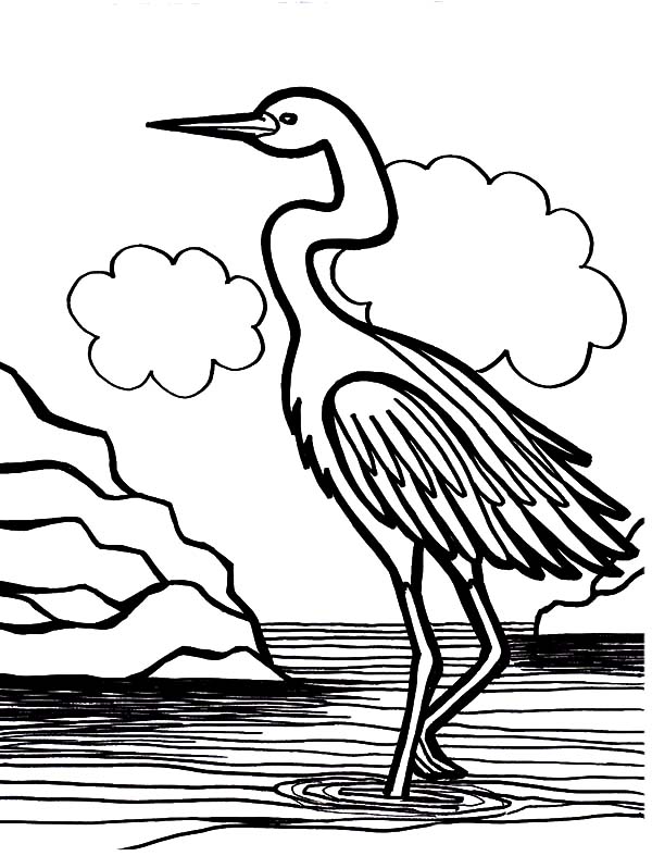 600x787 Crane Bird Is Swamp Bird Coloring Pages
