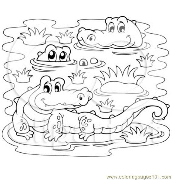 567x592 Crocodiles In A Swamp Coloring Page