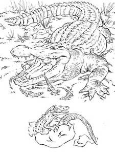 225x300 Louisiana Swamp Coloring Pages