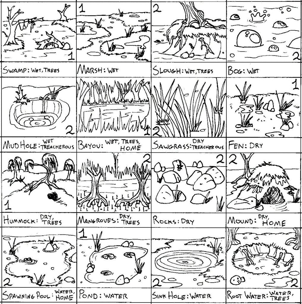 1019x1024 Wetland Animal Coloring Pages