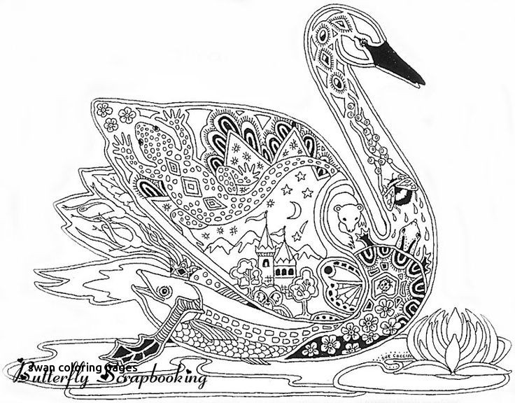 736x576 Swan Coloring Pages