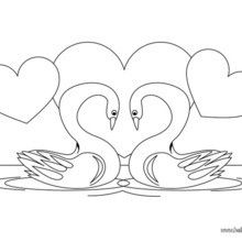 220x220 Swan Coloring Page Pato Swans, Color Pictures And Bird