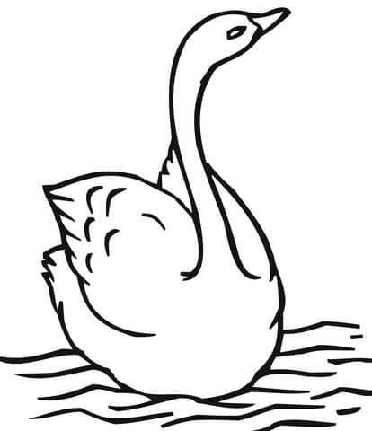 414x480 Swimming Swan Coloring Page