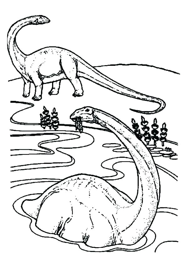 600x849 Elasmosaurus Coloring Page Swimming Dinosaurs Coloring Pages Is