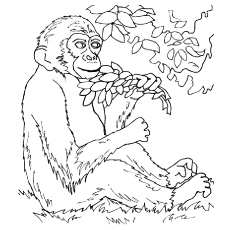 230x230 Top Free Printable Monkey Coloring Pages For Kids