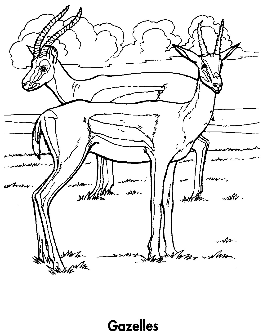 1111x1420 Gazelle Coloring Pages