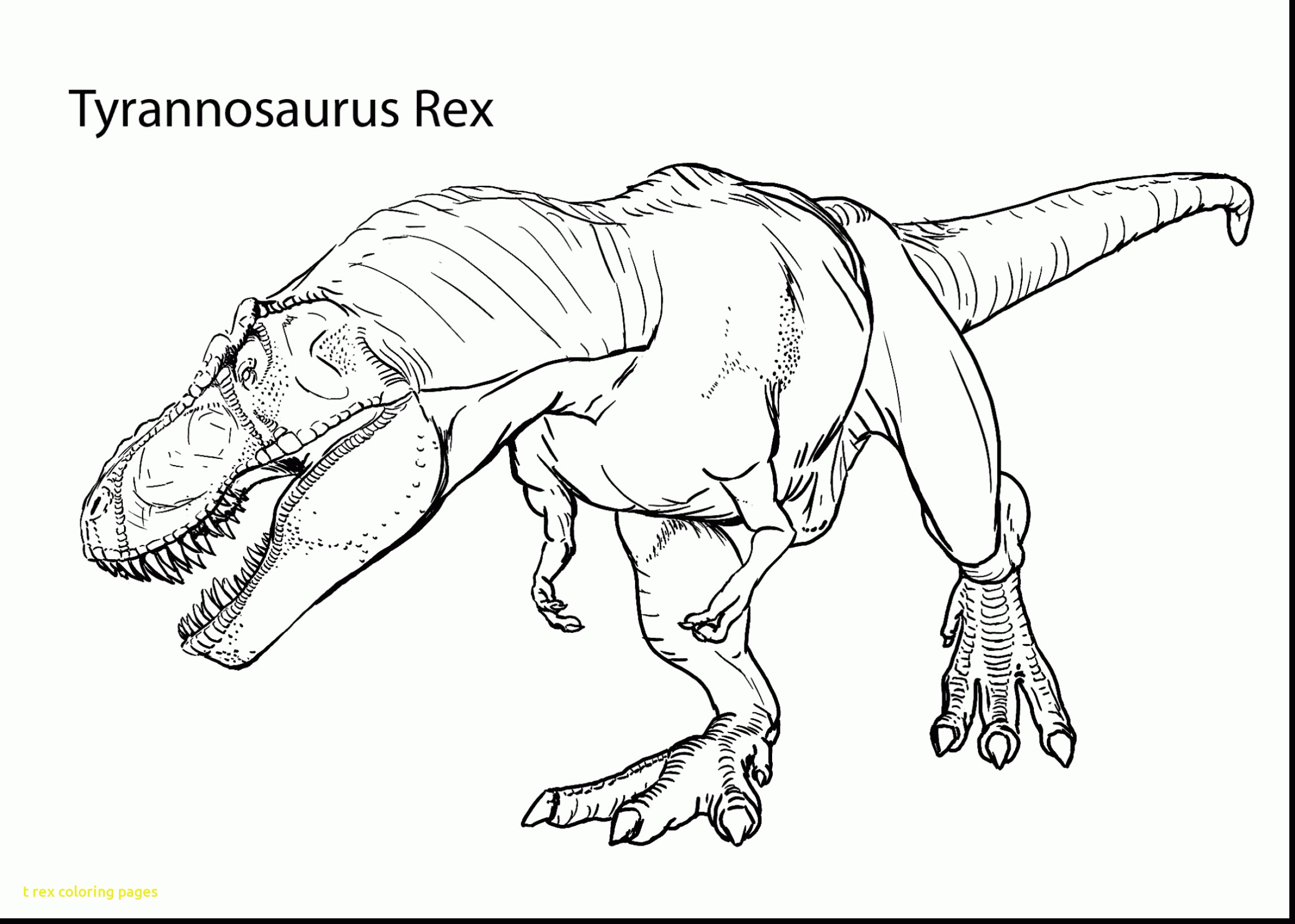 2286x1631 T Rex Coloring Page