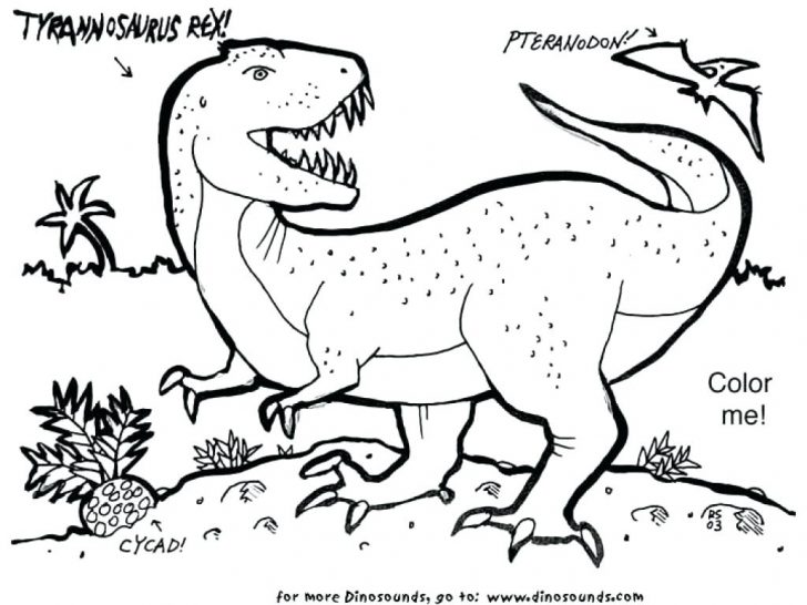 728x546 T Rex Coloring Page Indominus Dinosaur Pages Awesome Amazing