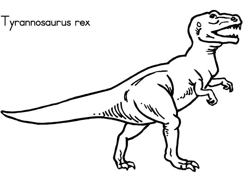 800x600 Tyrannosaurus Rex Dinosaur Coloring Mighty Embroidery Ideas