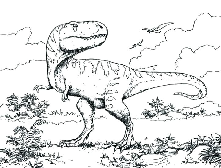 723x550 T Rex Coloring Page Tyrannosaurus Coloring Page Coloring Pages T