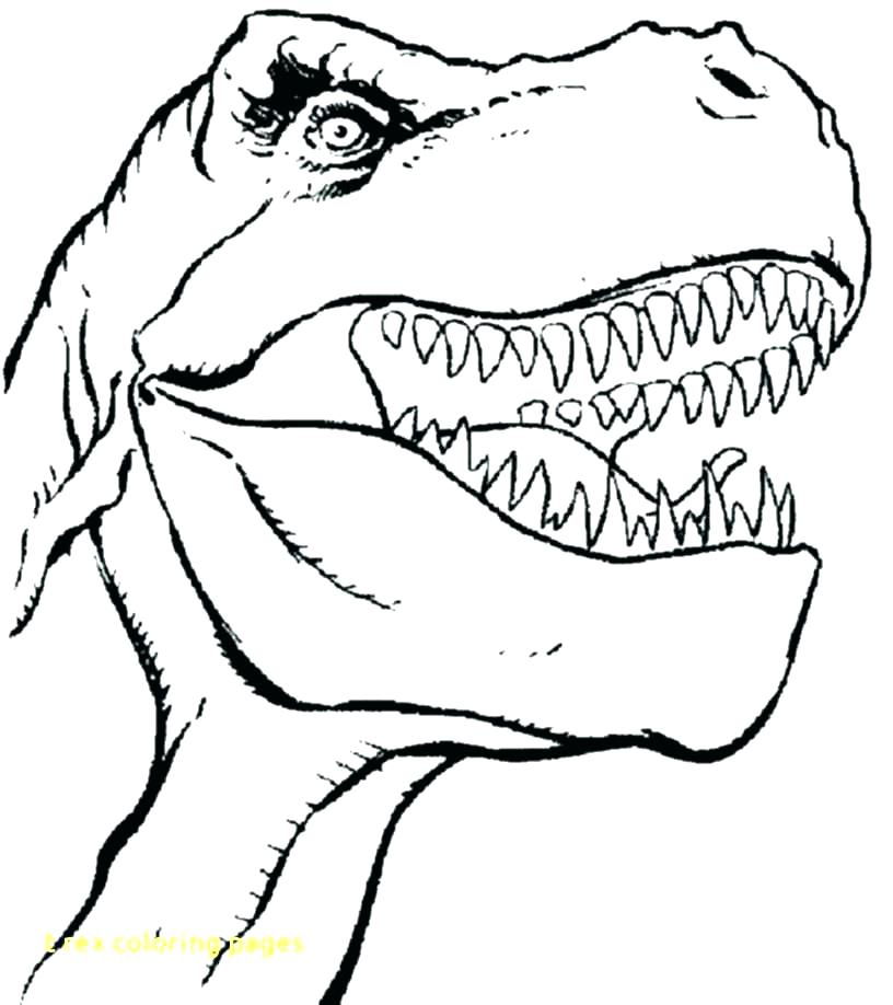 816x918 Tyrannosaurus Rex Coloring Page Tyrannosaurus Coloring Page T Goes