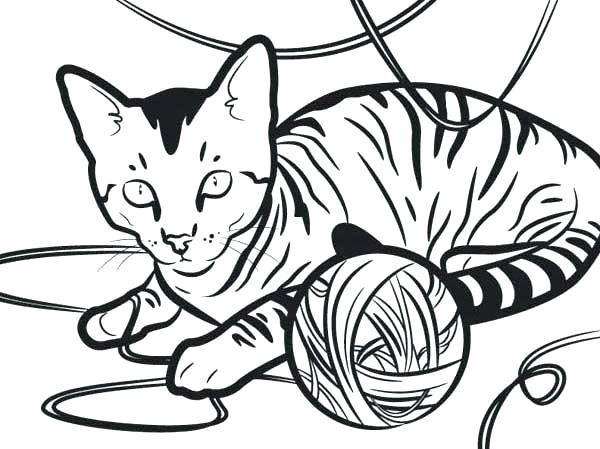 600x449 Pages For Coloring Tabby Cat Coloring Pages Find The Intruder