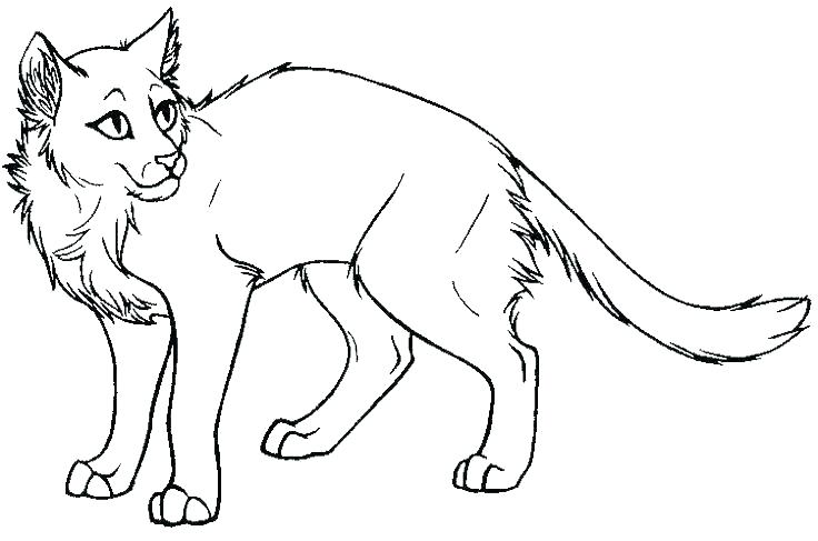 736x487 Tabby Cat Coloring Pages Coloring Cat Coloring Pages Printable