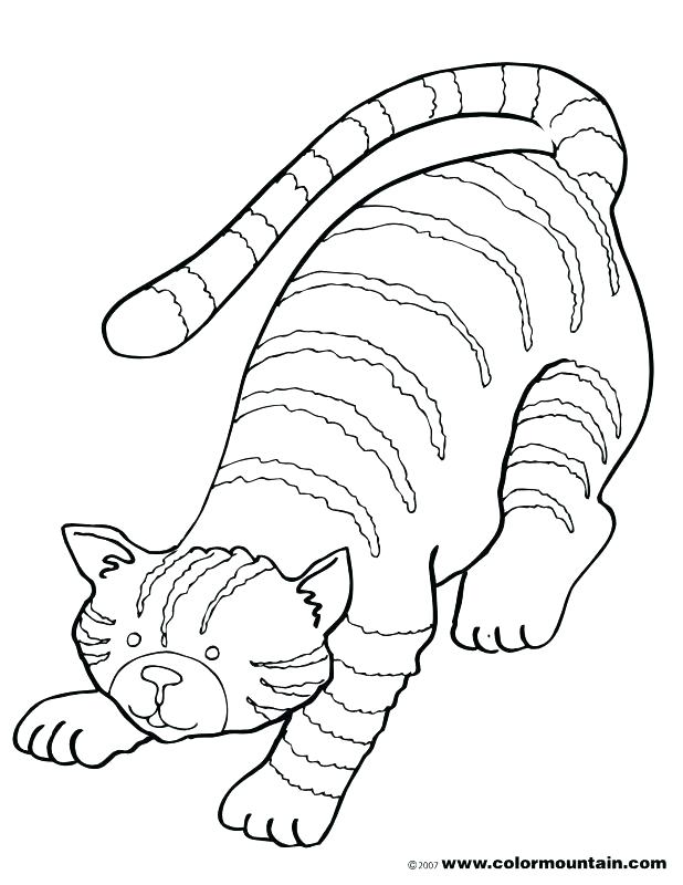618x800 Tabby Cat Coloring Pages Free Kitten Coloring Pages Wonderful Page