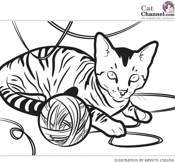600x557 Tabby Cat Coloring Pages