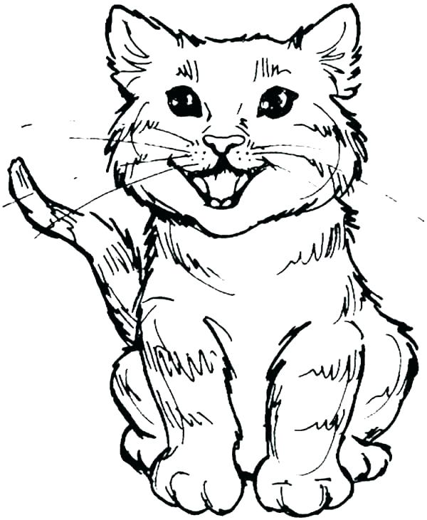 600x731 Cat Coloring Page Tabby Cat Coloring Pages Page To Print Also