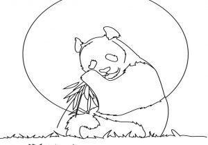 300x210 Wonderful Printable Panda Pictures Giant Bear Coloring Page Free