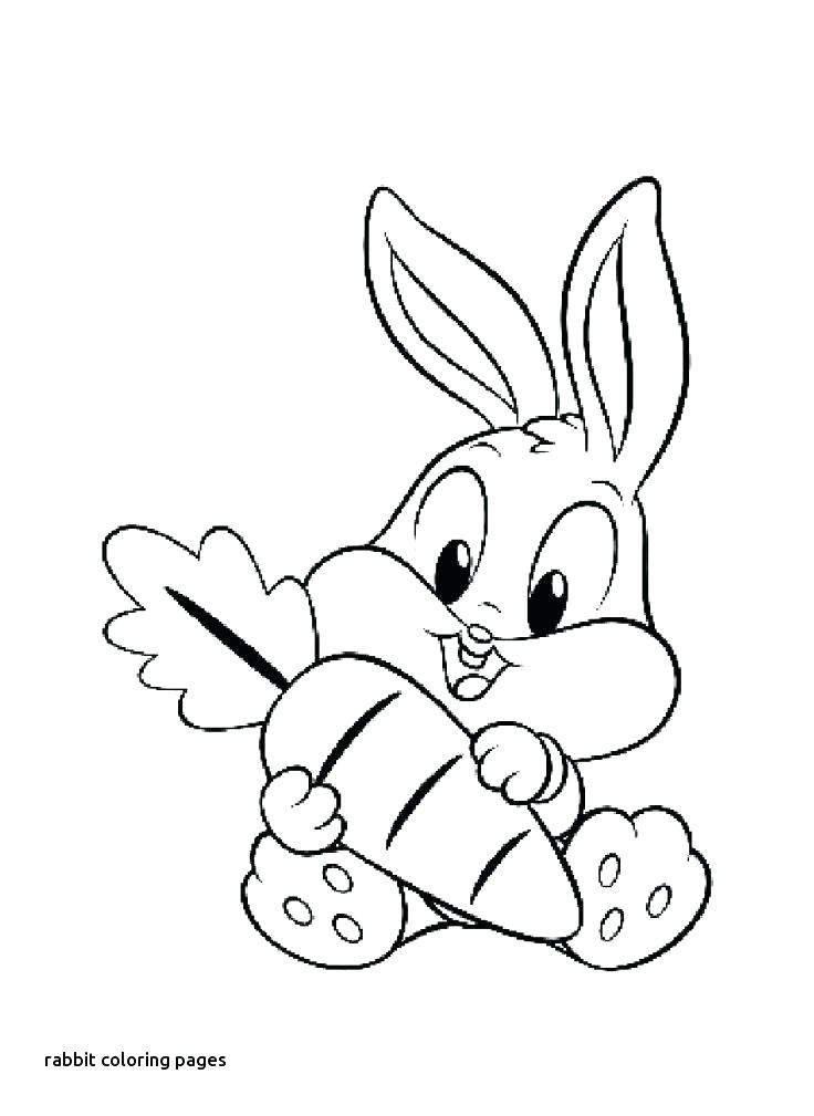 736x1009 Bunny Color Page