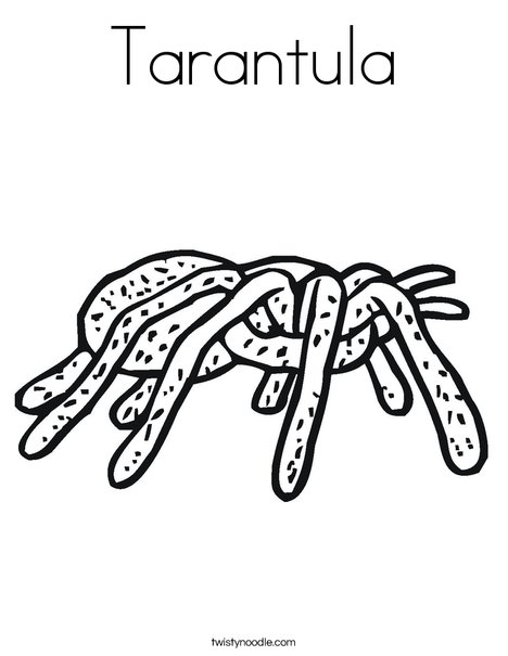 468x605 Tarantula Coloring Page