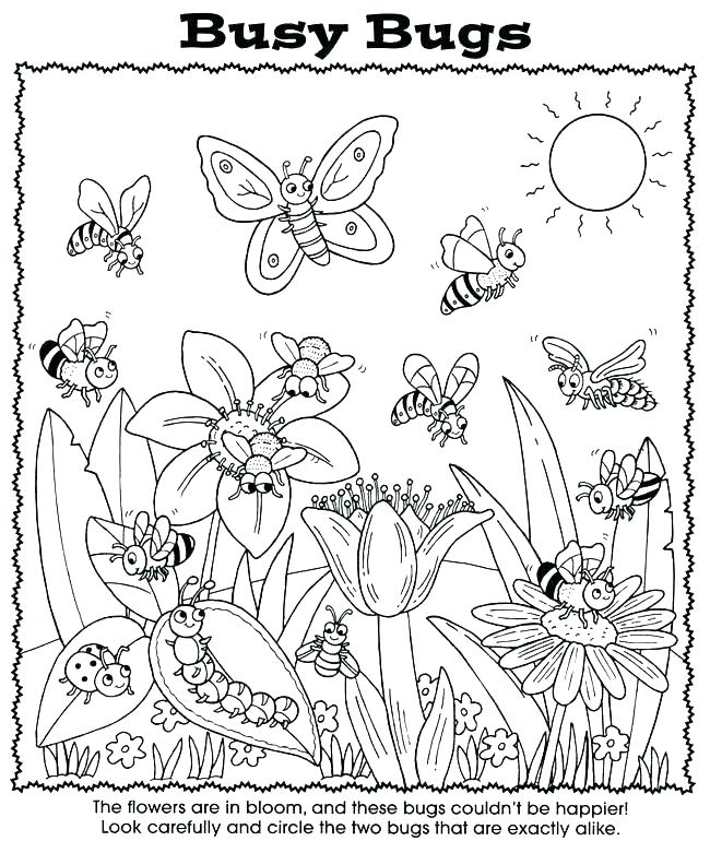 650x770 The Very Busy Spider Coloring Pages Spider Web Coloring Spider
