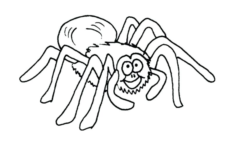 800x500 Spider Colouring In Pages Tarantula Coloring Page Spider Coloring