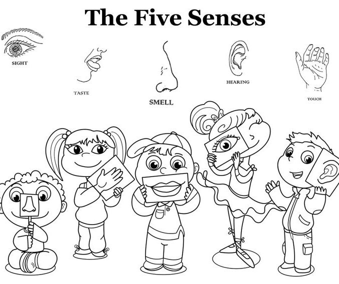 678x568 Five Senses Coloring Sheets Coloring Page Ideas