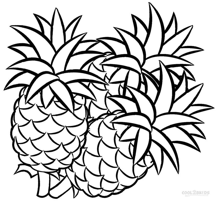 850x785 Printable Pineapple Coloring Pages For Kids