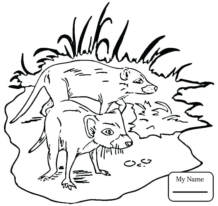 765x723 Best Of Tasmanian Devil Coloring Pages Pictures Coloring Pages
