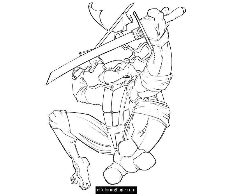 800x667 Leonardo Teenage Mutant Ninja Turtles Coloring Pages Home Design