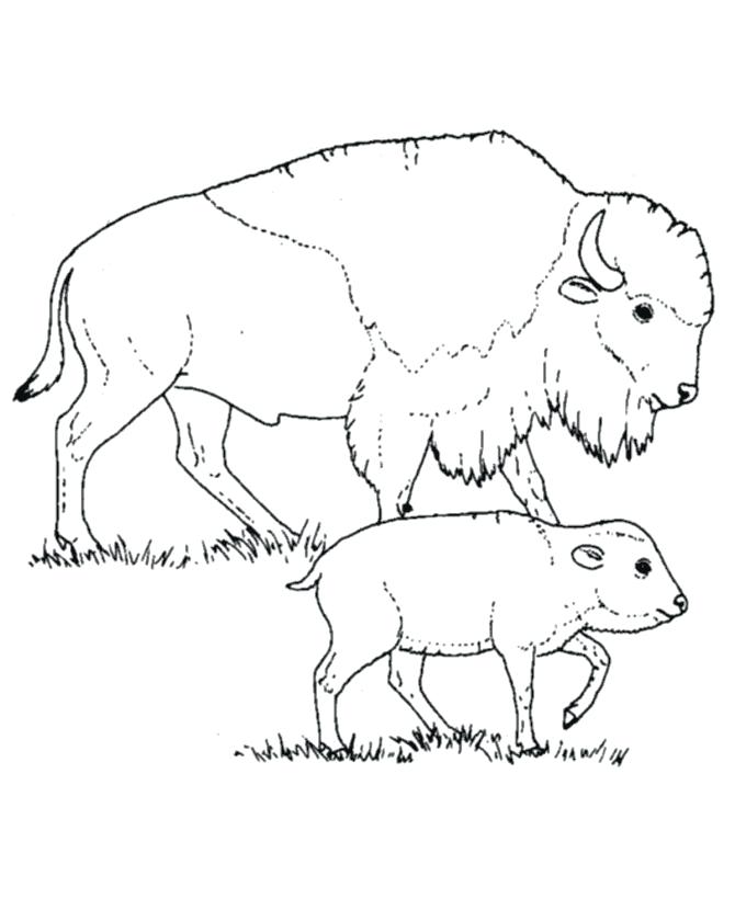 670x820 Teepee Coloring Pages Animals Of North Coloring Pages Coloring