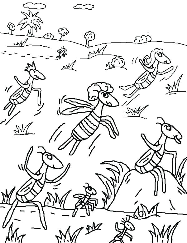 600x777 Egypt Coloring Pages Plagues Of Coloring Pages Free Ten Plagues