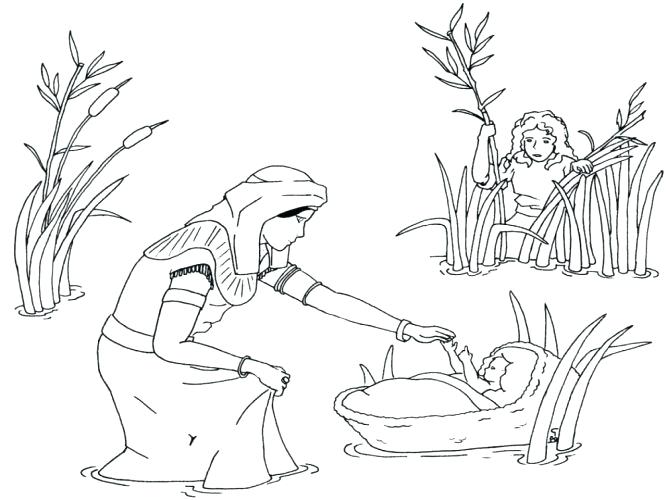 667x500 Ten Plagues Coloring Pages Medium Size Of Coloring Pages Pictures