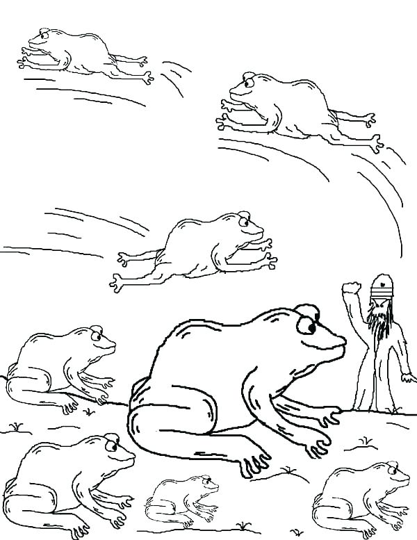 600x777 Ten Plagues Coloring Pages Plagues Coloring Pages Ten Of The Frogs