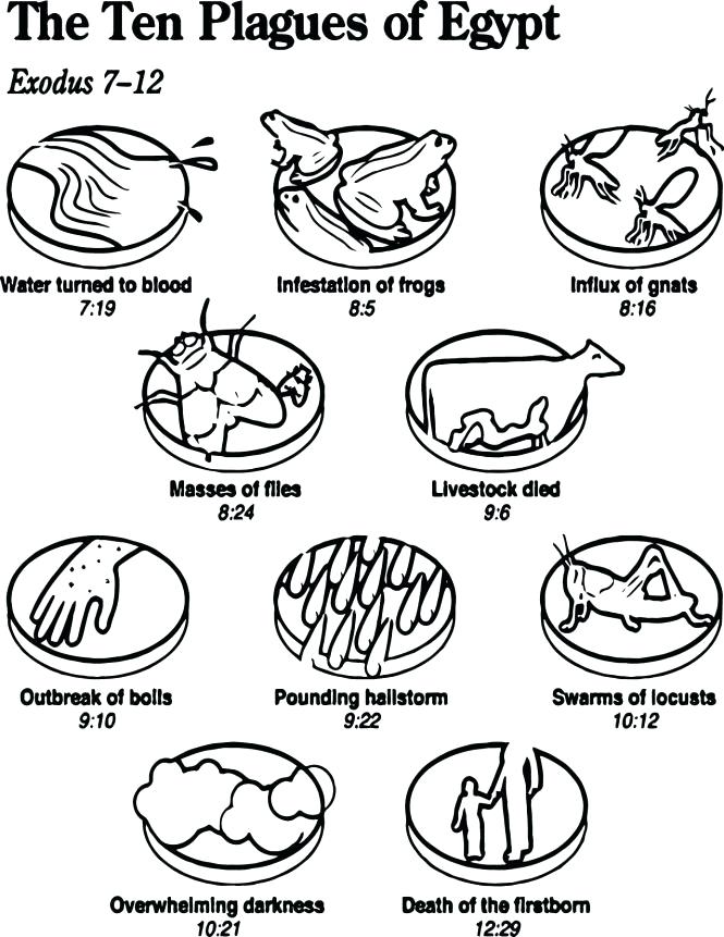 665x861 Ten Plagues Coloring Pages Plagues Of Colouring Pages Colouring