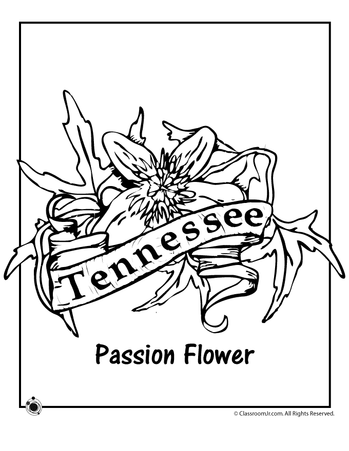 680x880 Tennessee State Flower Coloring Page Flower, Leather Tooling