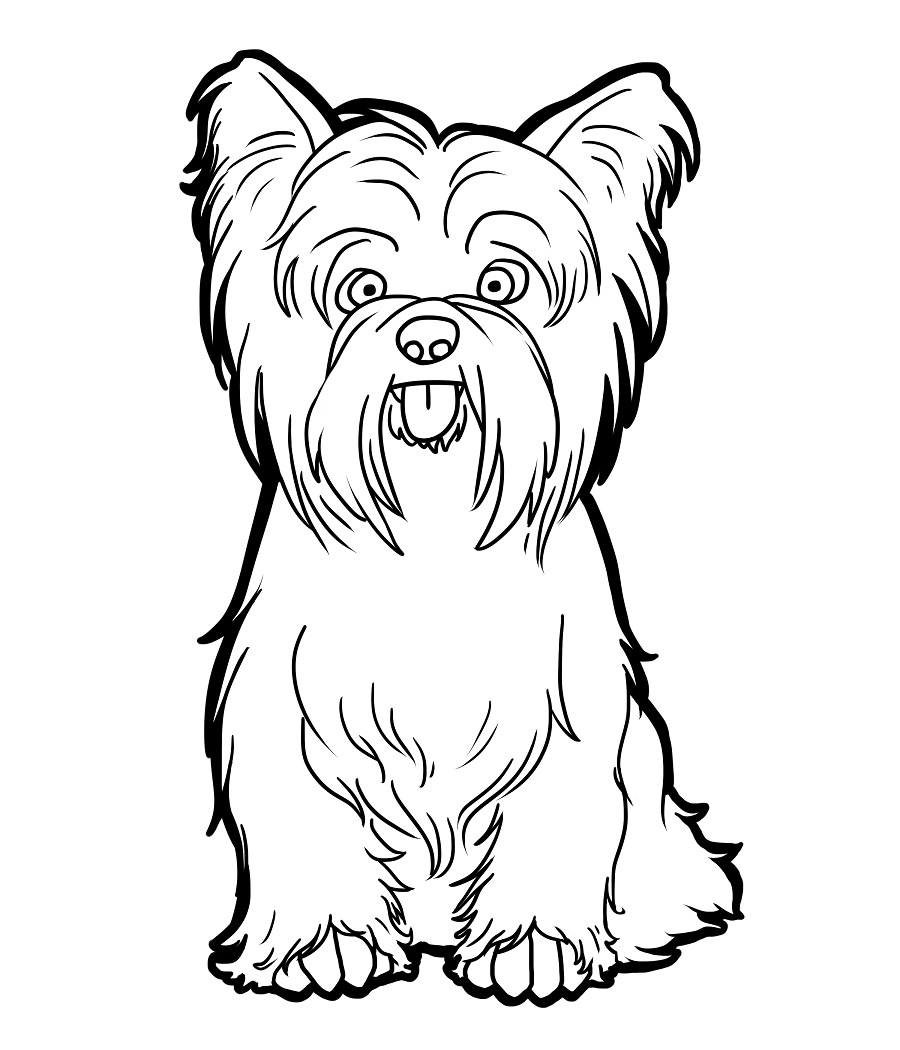 900x1050 Last Minute Cairn Terrier Coloring Pages Jack
