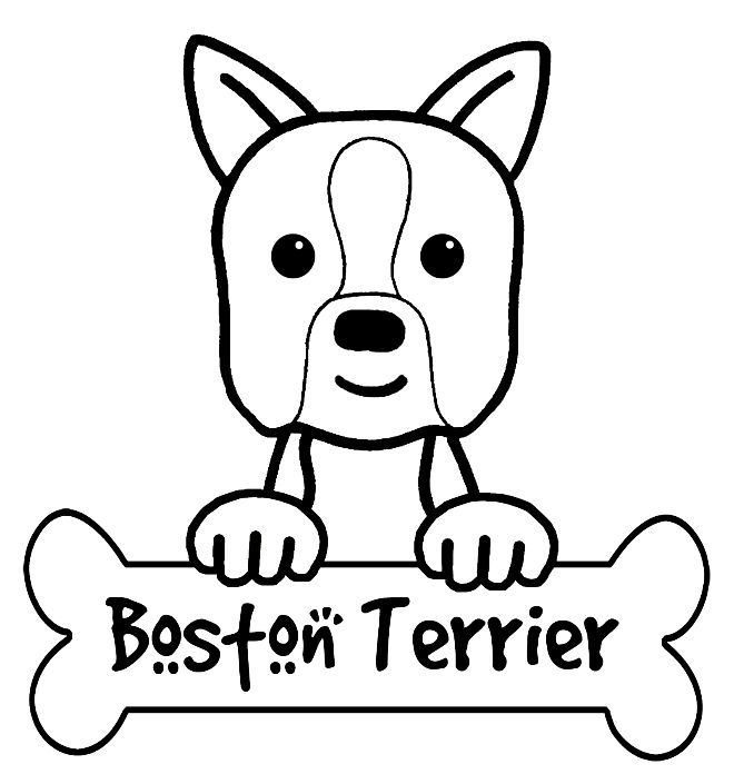 660x705 On Boston Terrier Coloring Page