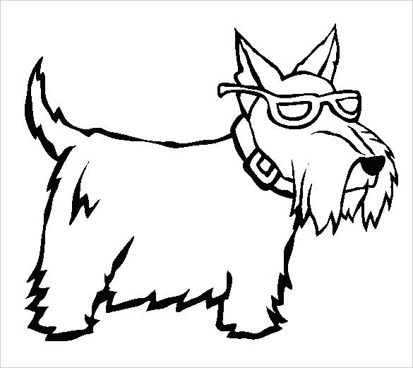 585x521 Scottish Coloring Pages Terrier Coloring Silhouette Scottish