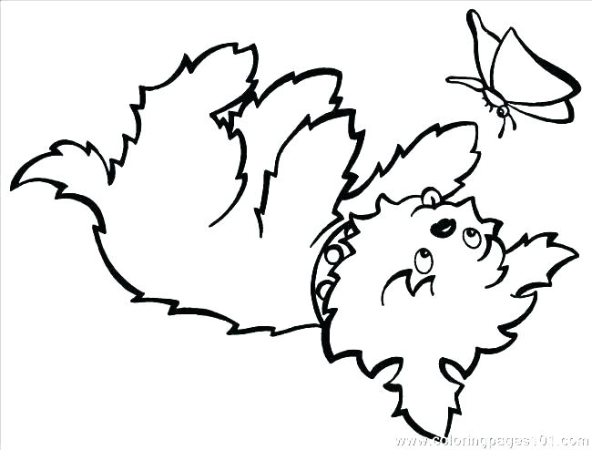 650x494 Yorkshire Terrier Coloring Pages