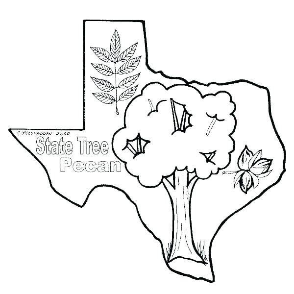 600x600 Texas Coloring Pages Coloring Pages State Of Outline Map Coloring