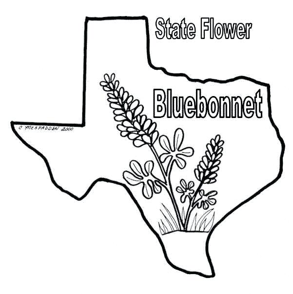 601x603 Texas Coloring Pages Coloring Pages State Symbols Page Free