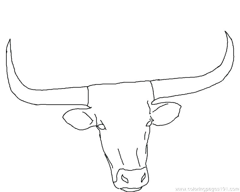 800x640 Texas Coloring Pages Coloring Page Longhorn Cow Coloring Page