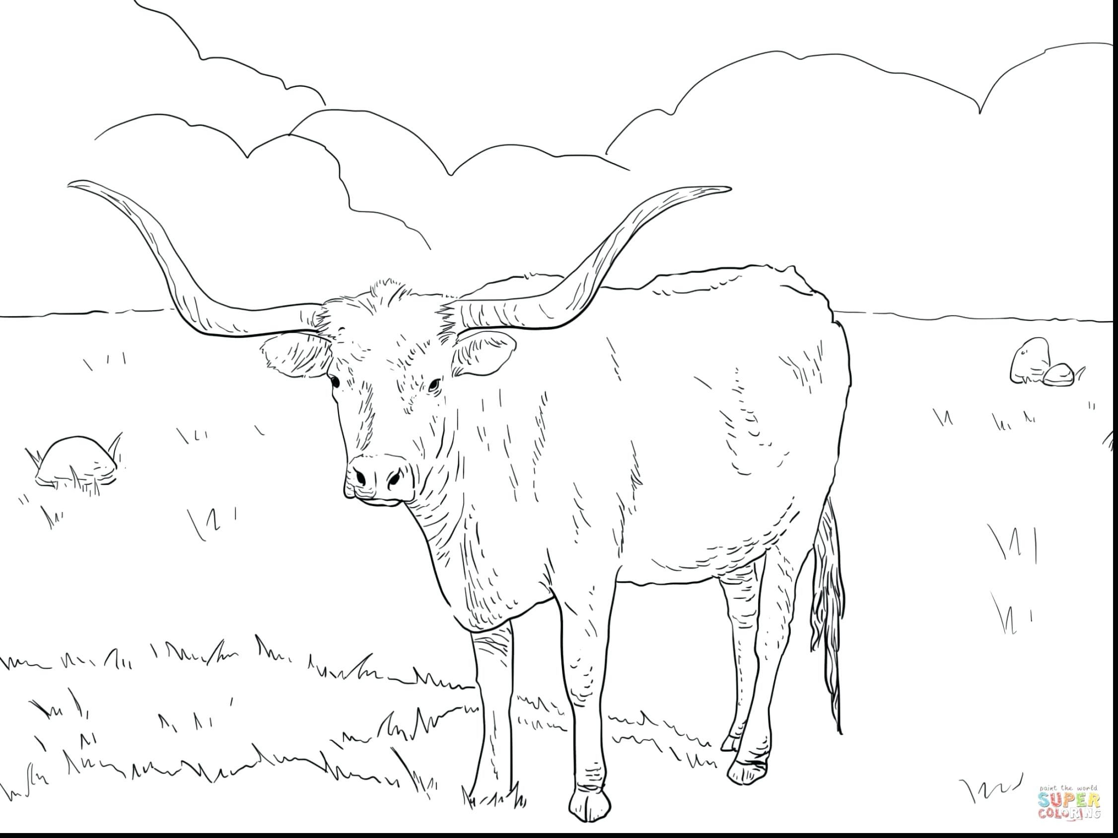 2252x1689 Texas Flag Coloring Page