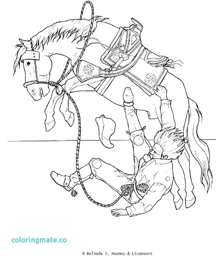 761x901 Texas Flag Color