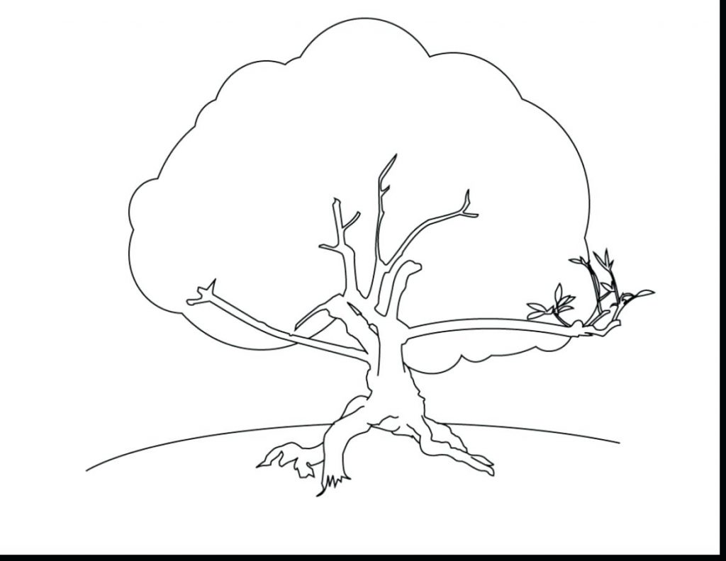 1024x792 Coloring Pages Texas Coloring Pages Amazing Printable Tree
