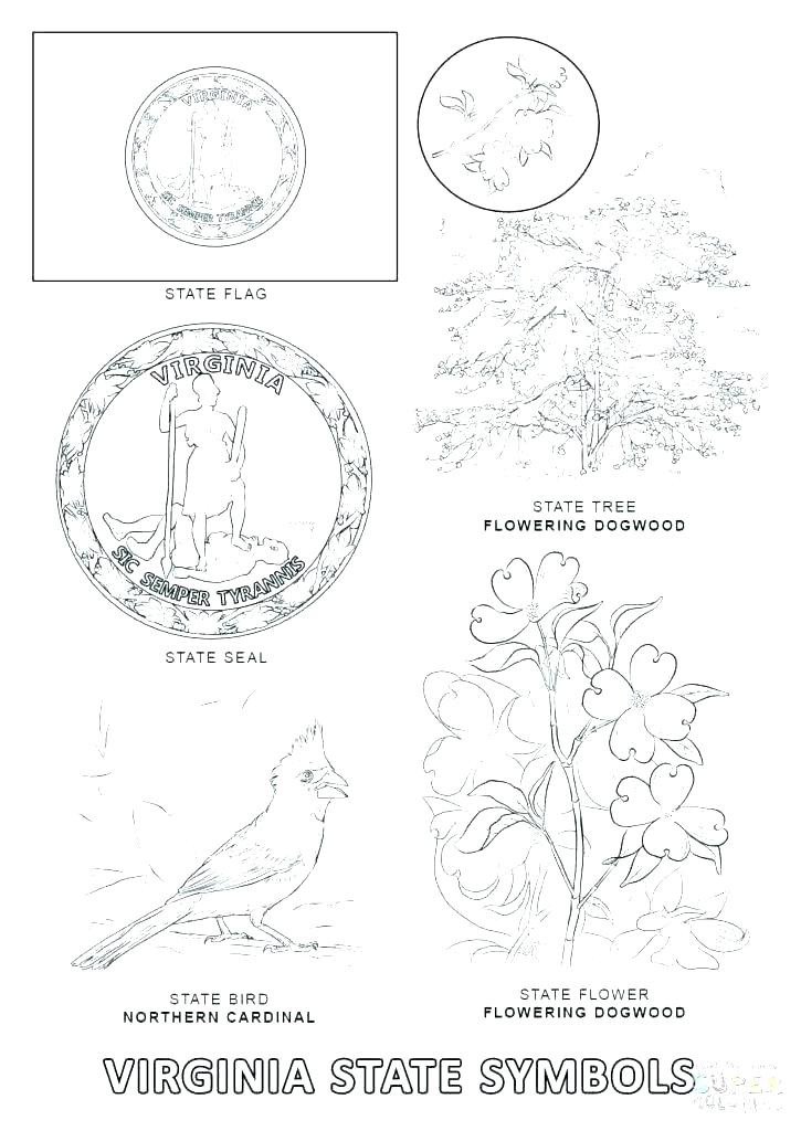 725x1024 State Symbols Coloring Pages United States Symbols Coloring State