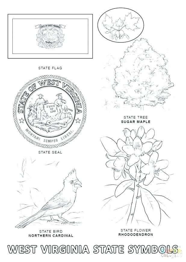 618x872 State Symbols Coloring Pages Click To See Printable Version