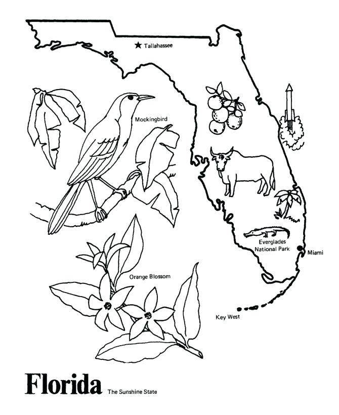 670x820 State Symbols Coloring Pages State Outline Coloring Page I Copy
